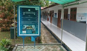 smp